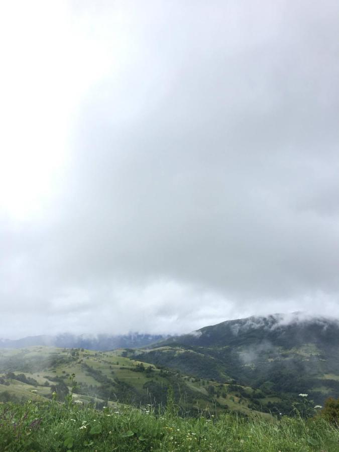 Mizhhirya  Садиба Between Mountains מראה חיצוני תמונה