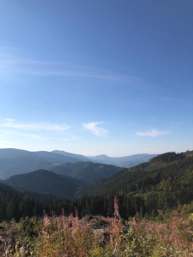 Mizhhirya  Садиба Between Mountains מראה חיצוני תמונה