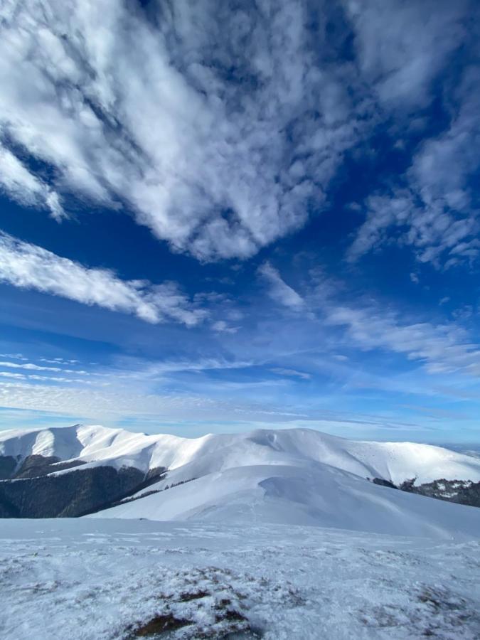 Mizhhirya  Садиба Between Mountains מראה חיצוני תמונה