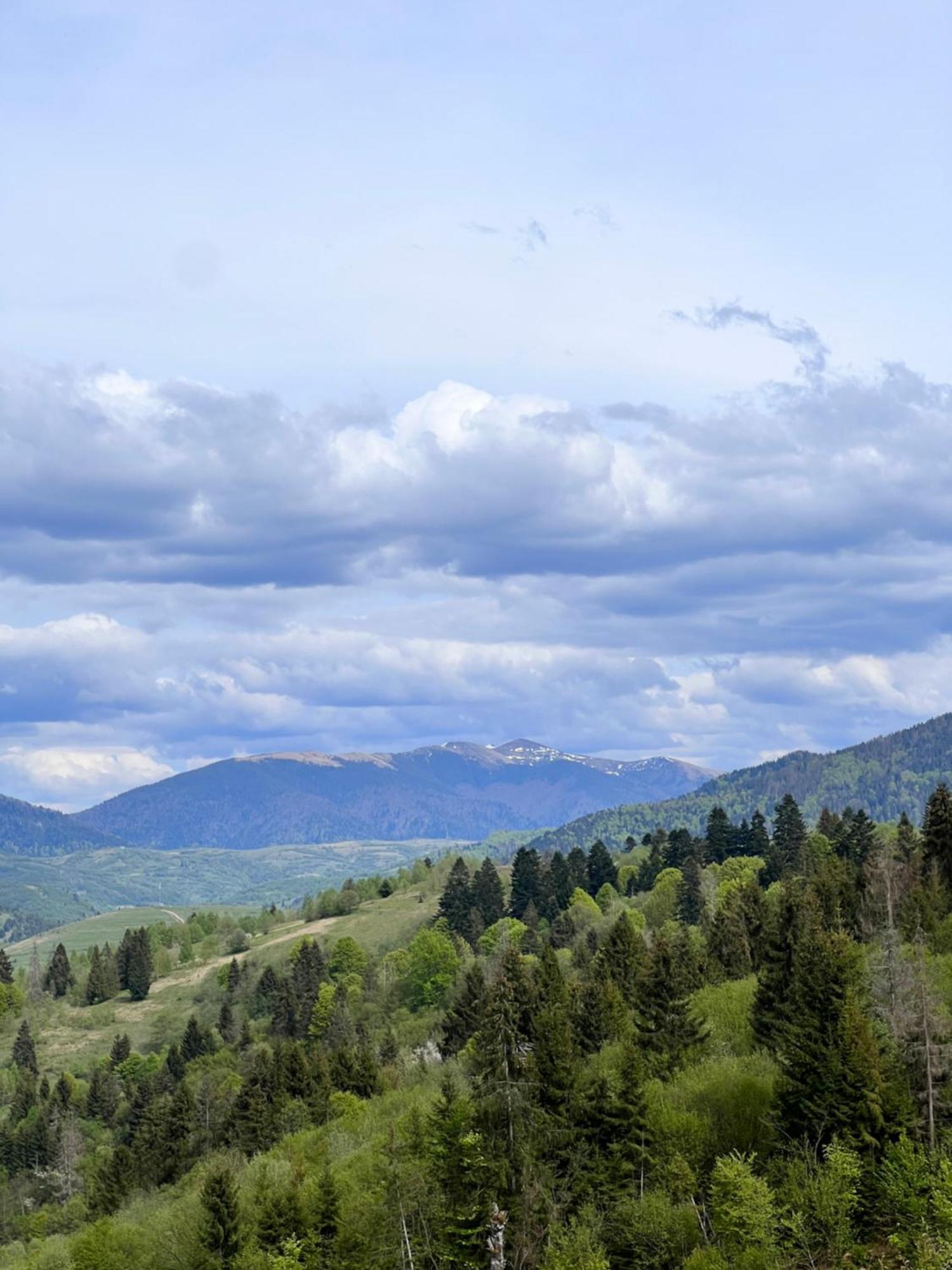Mizhhirya  Садиба Between Mountains מראה חיצוני תמונה